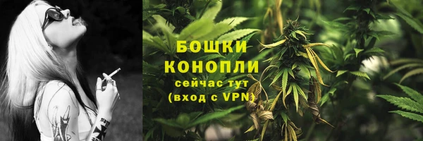 шишки Алзамай