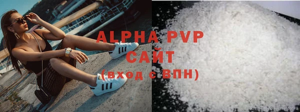 хмурый Абаза