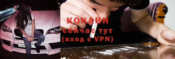 хмурый Абаза
