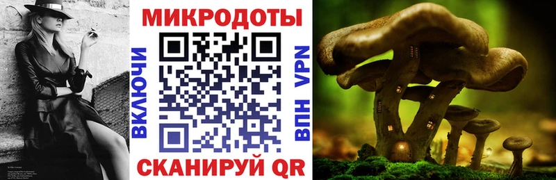 blacksprut ONION  Ивангород  shop состав  Галлюциногенные грибы мицелий 